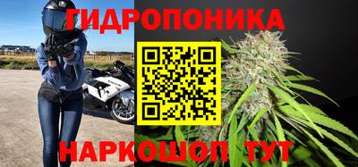 PSILOCYBIN Бугуруслан