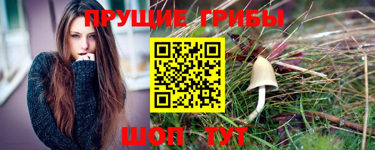Стрежевой  Псилоцибиновые грибы мухоморы  Вход с VPN 